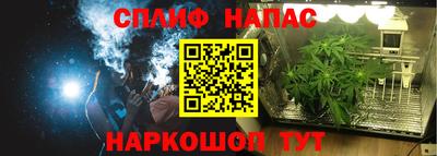 spice Краснознаменск