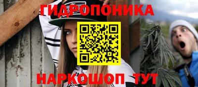 spice Краснознаменск