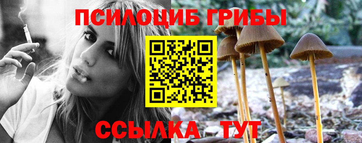 Коряжма  Галлюциногенные грибы GOLDEN TEACHER  Вход с VPN 