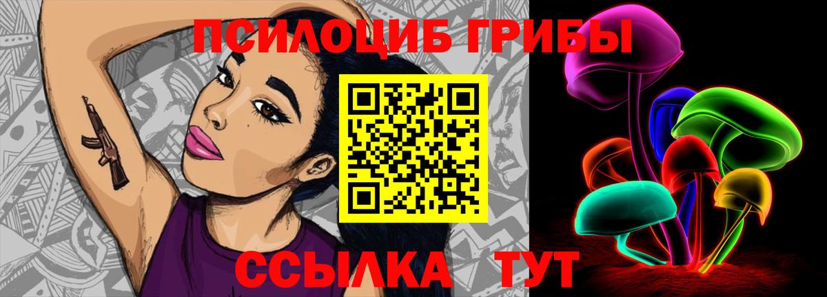 Галлюциногенные грибы прущие грибы Коряжма